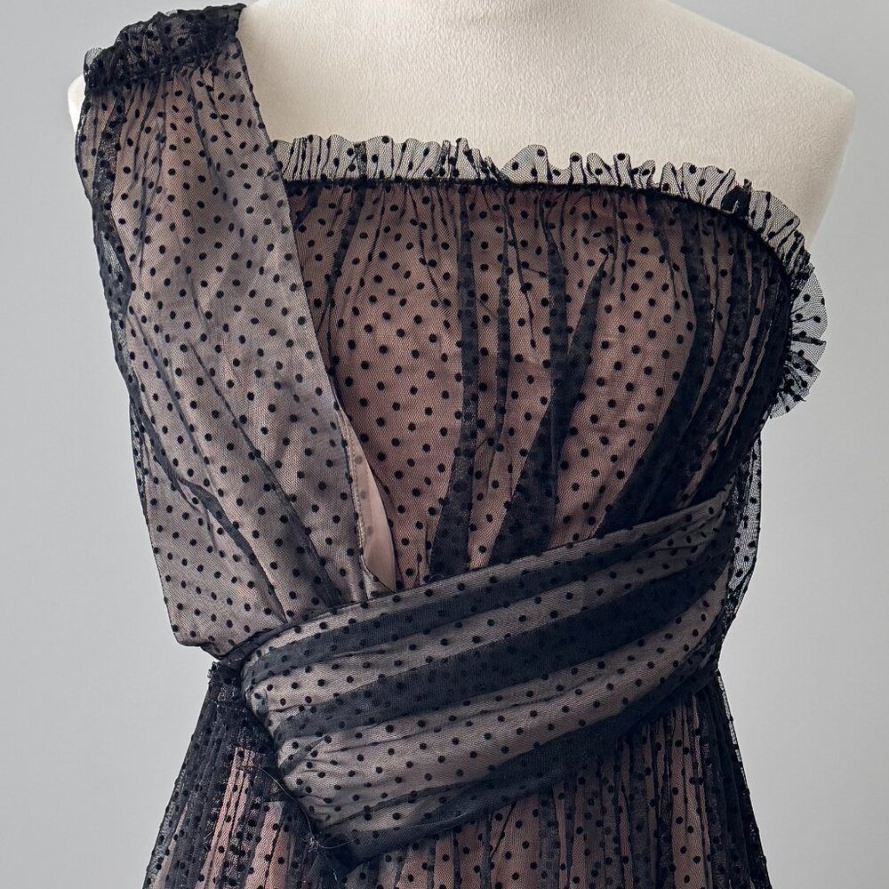 NWT Anthropologie Tulle Dot Maxi Dress - Picture 16 of 16